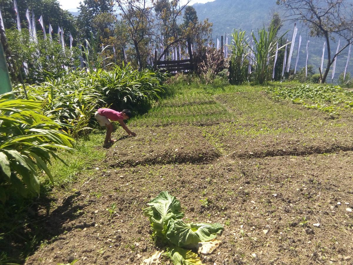 Martam Farmhouse Pelling Εξωτερικό φωτογραφία
