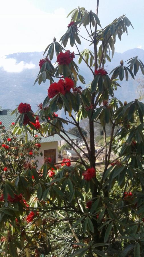 Martam Farmhouse Pelling Εξωτερικό φωτογραφία