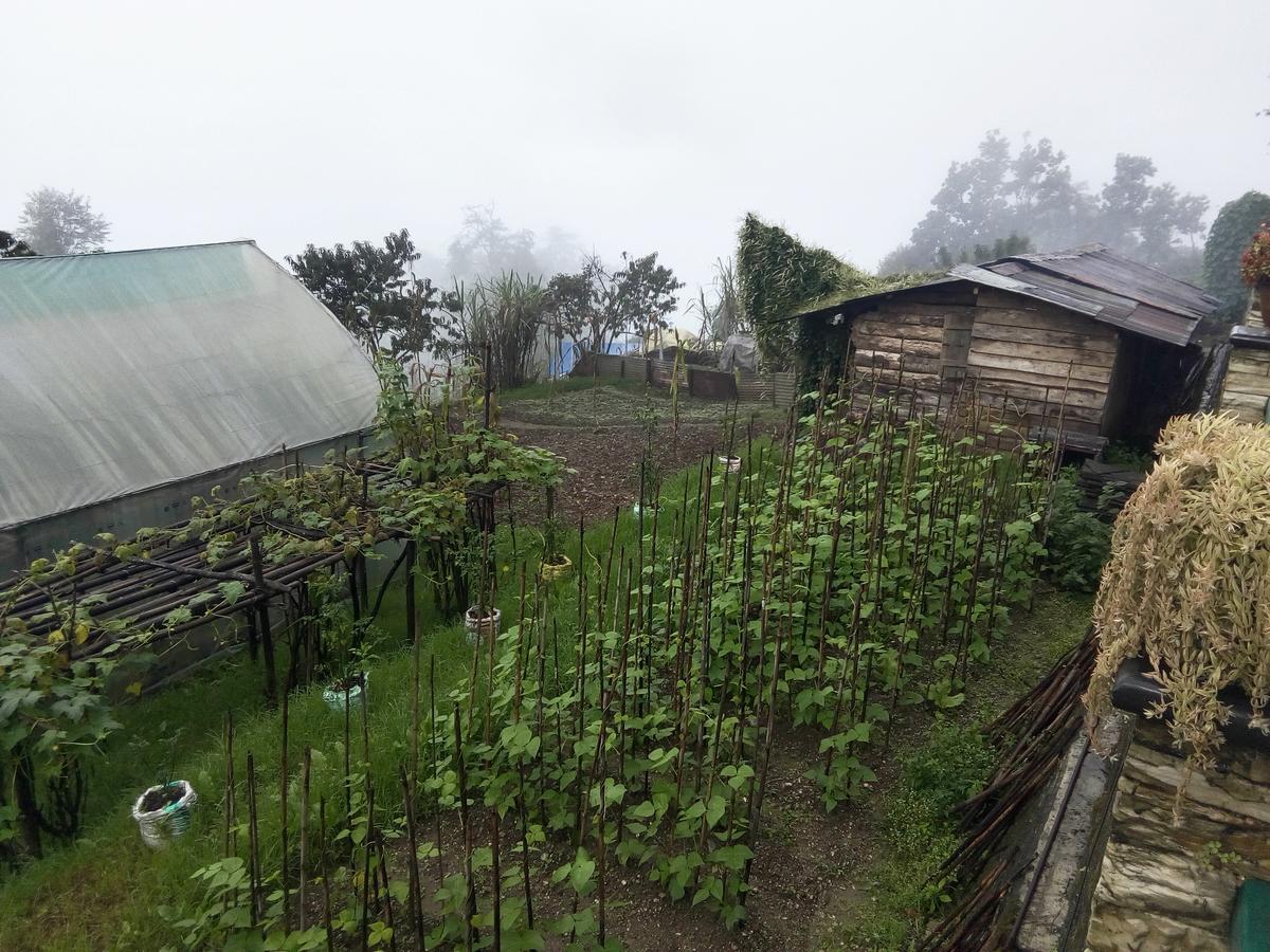 Martam Farmhouse Pelling Εξωτερικό φωτογραφία
